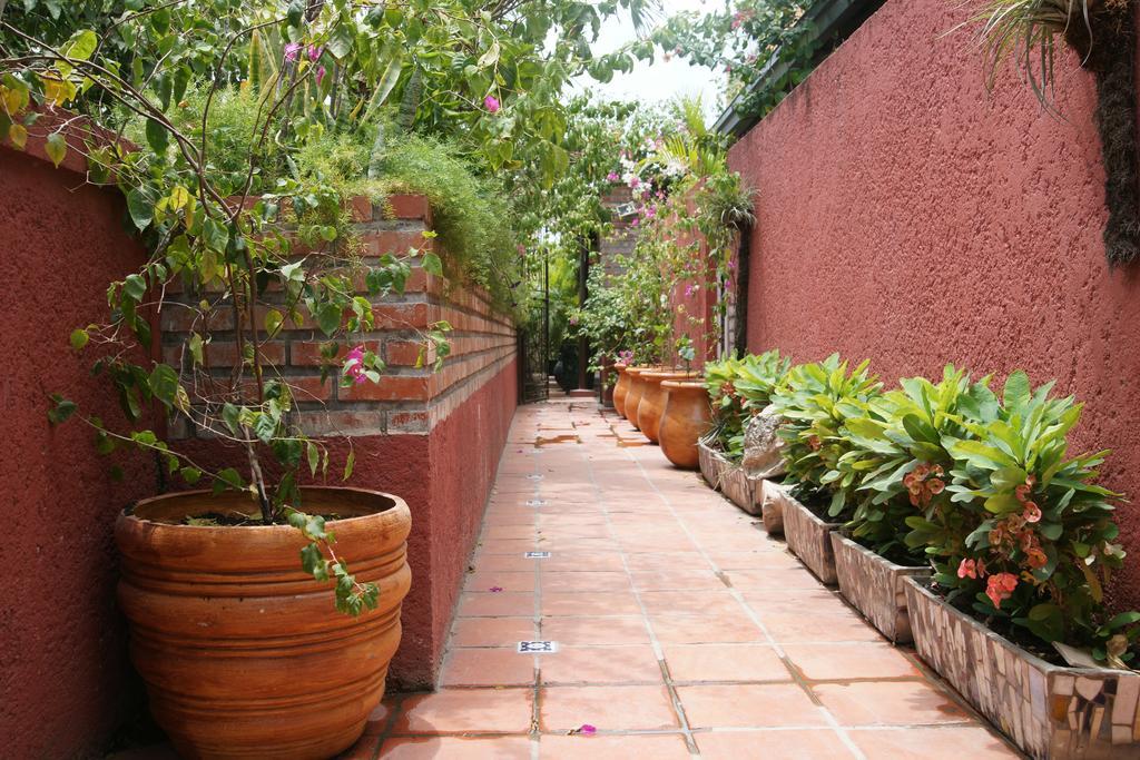Corail Suites Jacquet ห้อง รูปภาพ
